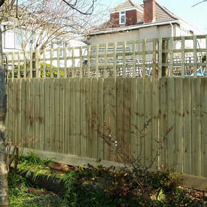Garden space with a gravel path, potted plant, and traditional featheredge fencing.