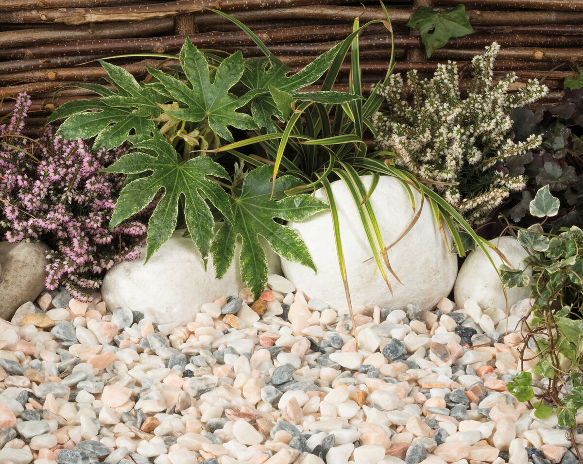 Flamingo Chippings web.jpg