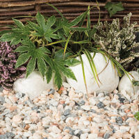 Flamingo Chippings web.jpg