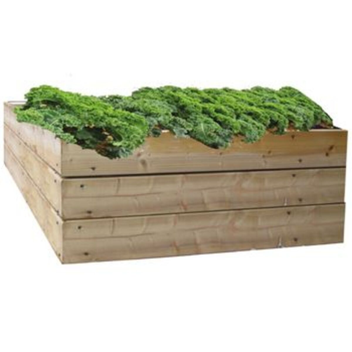 FT Raised bed.jpg
