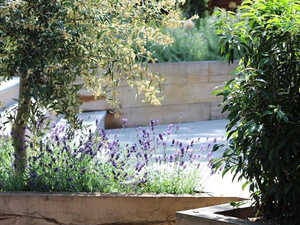 A garden with wooden planters, greenery, and flowering plants under sunlight.