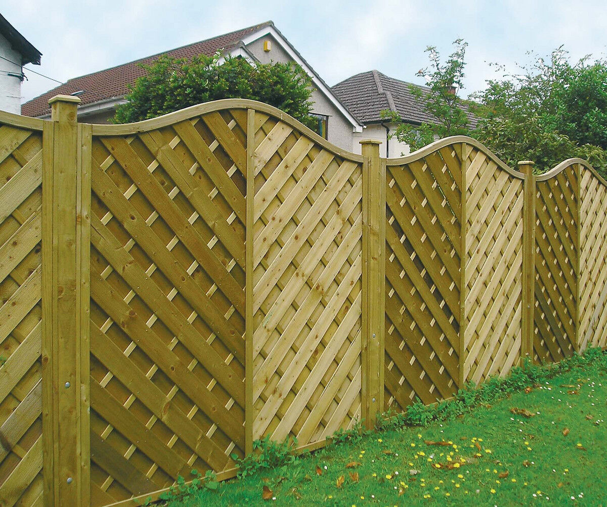 hampshire omega top web jpeg.jpg