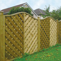 hampshire omega top web jpeg.jpg