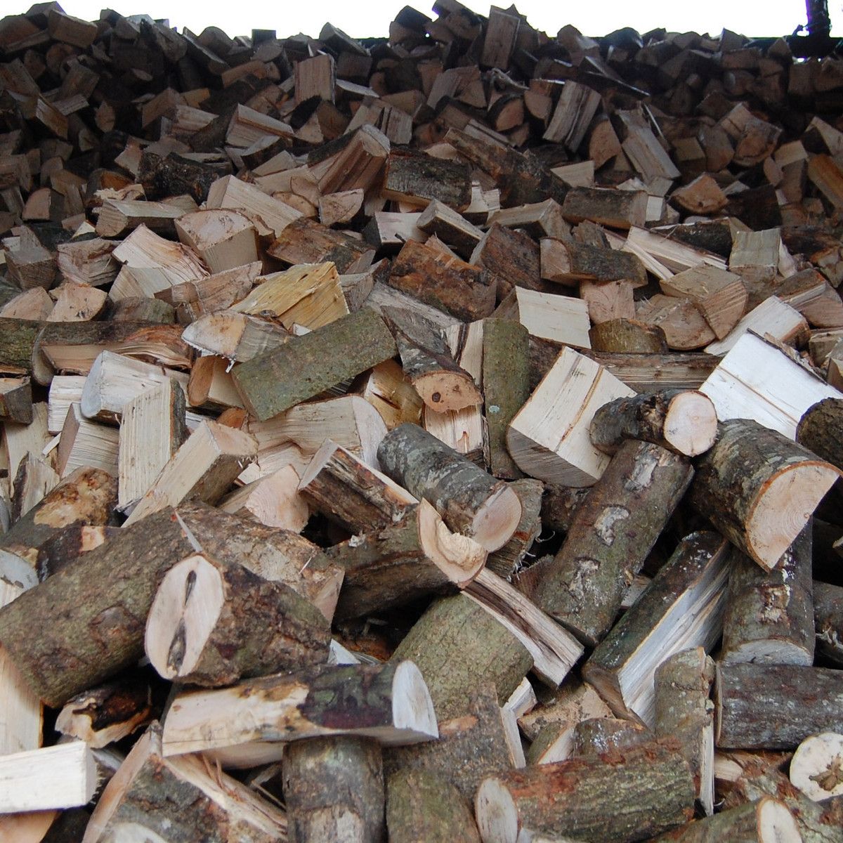 Hardwood Logs 2.jpg
