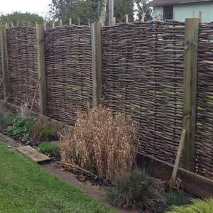 Hazel fence with plants in front, set in a garden area.