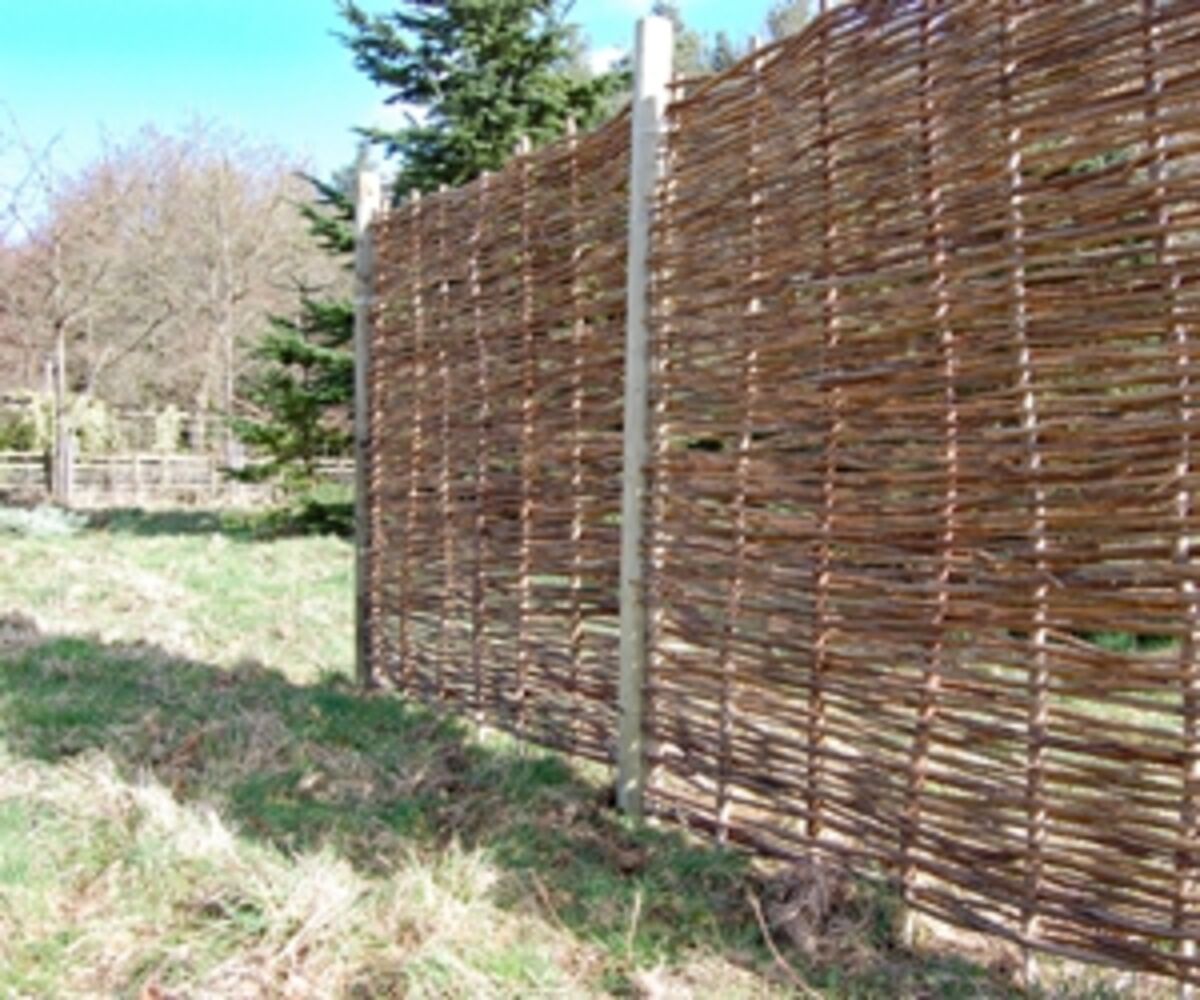 Hazel-hurdle-country-web.jpg