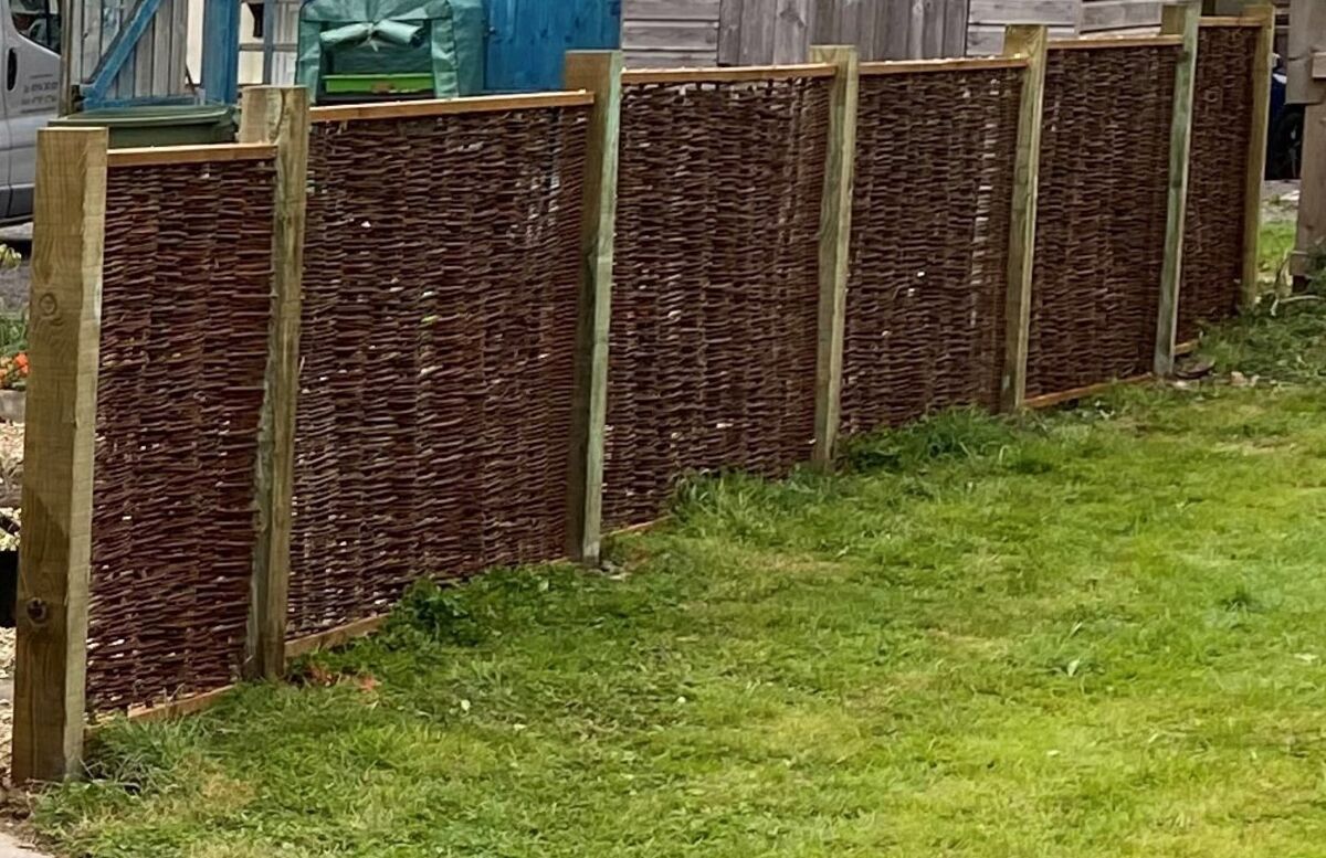 heavy frame willow 7 web.jpg