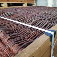 HF Willow 1web.jpg
