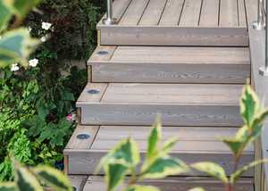 Timber decking steps in a garden space