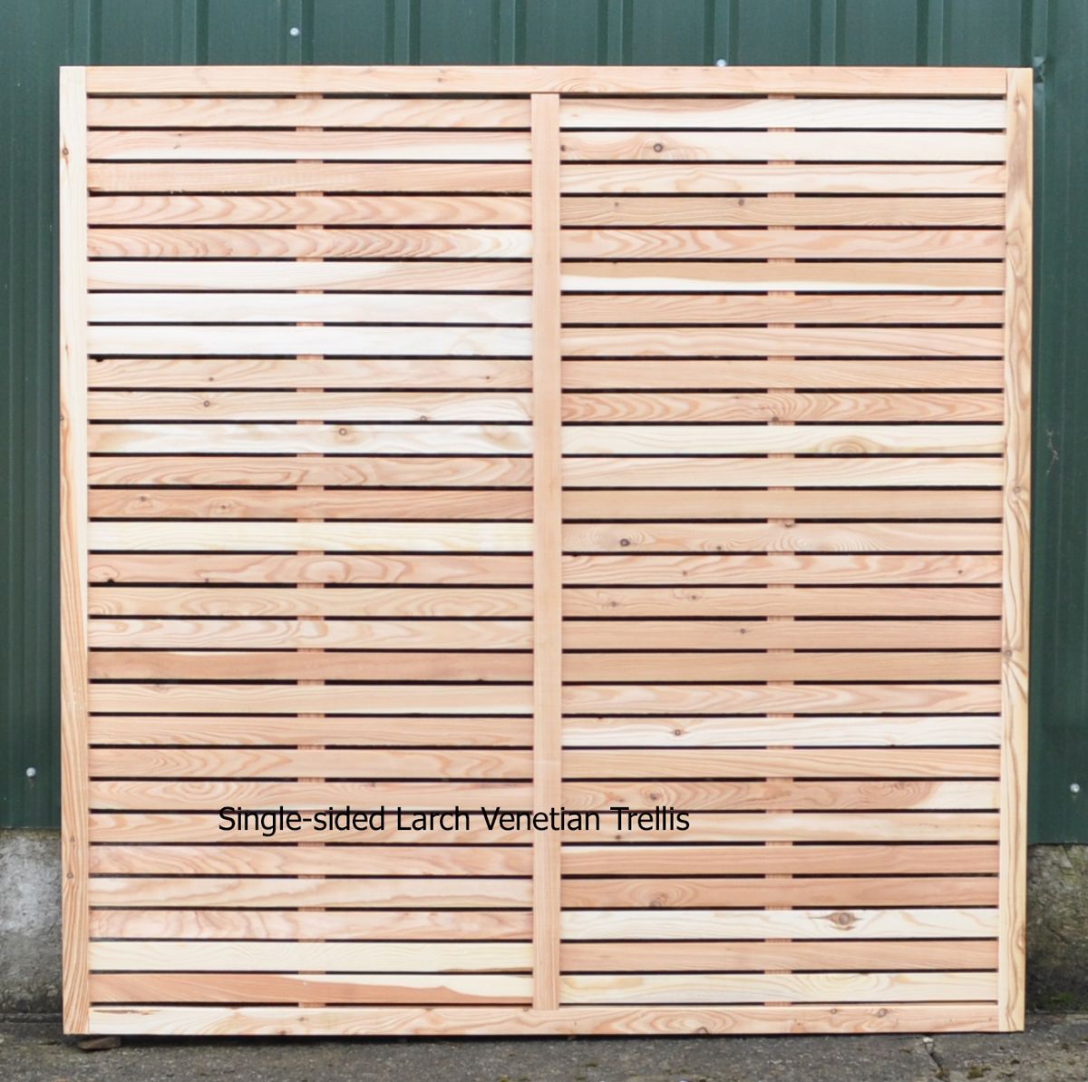 Larch Venetian  Trellis -single sided  web.jpg