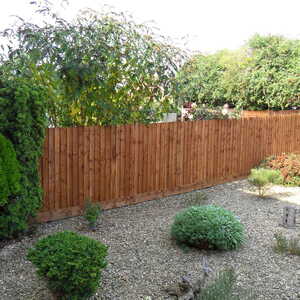 A timber feather edge fence encloses a garden with shrubs and small plants.