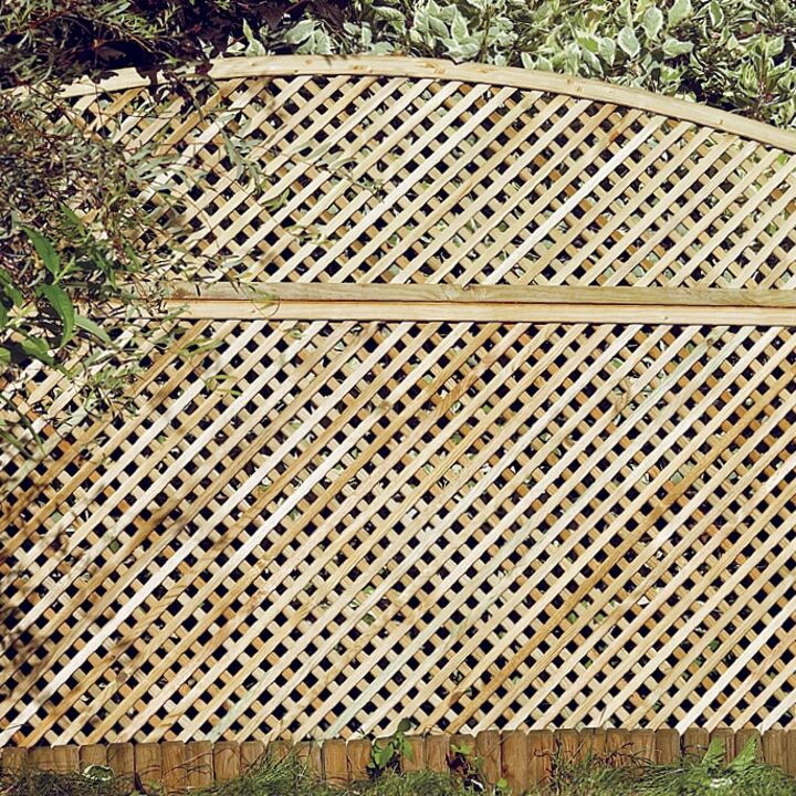 norman convex 2.jpg