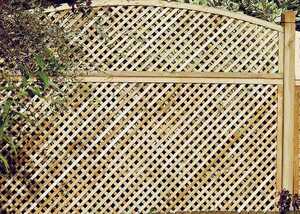 norman trellis with norman convex trellis top