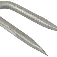 NWSG Staple - GG-web.jpg