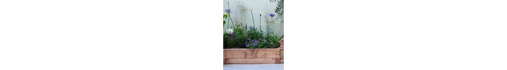 Oak Sleepers gbird.jpg