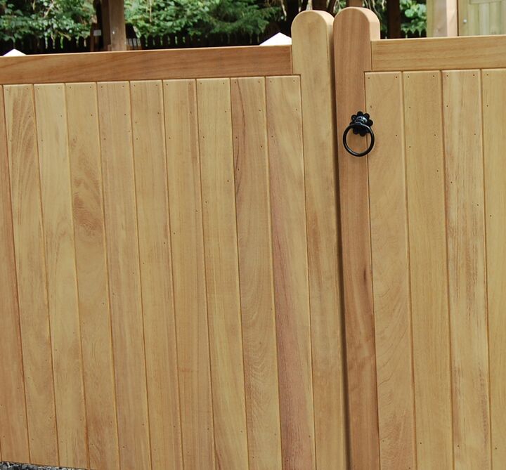 Ornamental ring latch.jpg