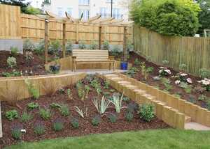 Garden landscape with timber fence and pergola
