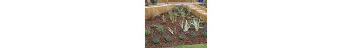 Outerspace sleepers mulch web.jpg