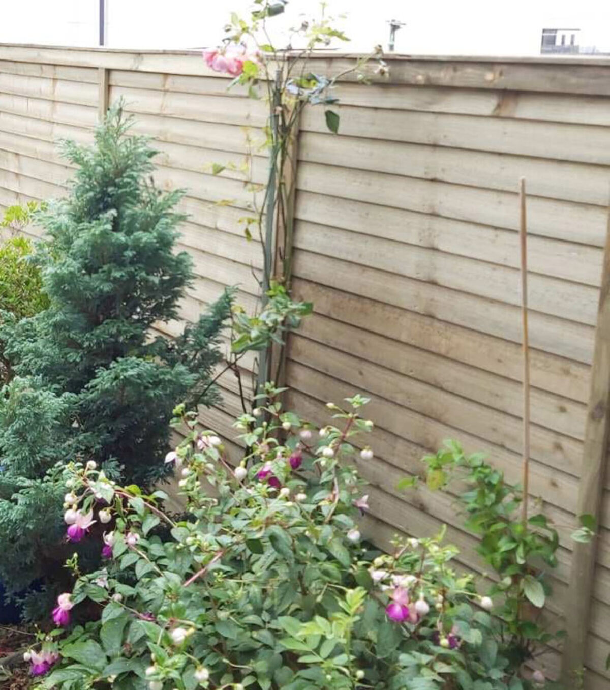 Overlap Fence panels5 web.jpg