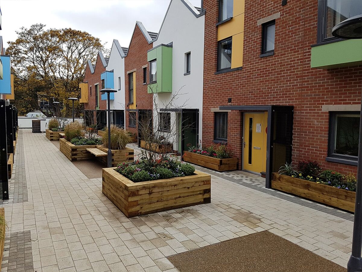 paintworks-2 Elm Tree.jpg