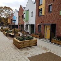 paintworks-2 Elm Tree.jpg