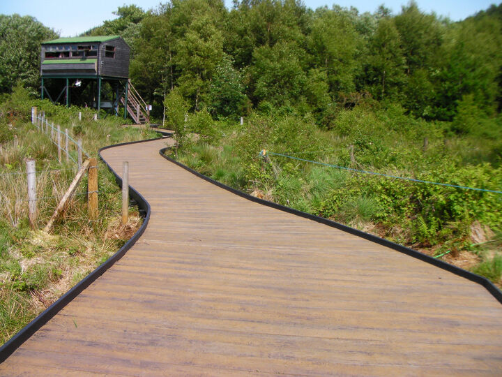 project-images-08web.jpg