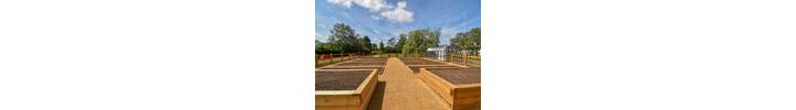 raised beds 4.jpg