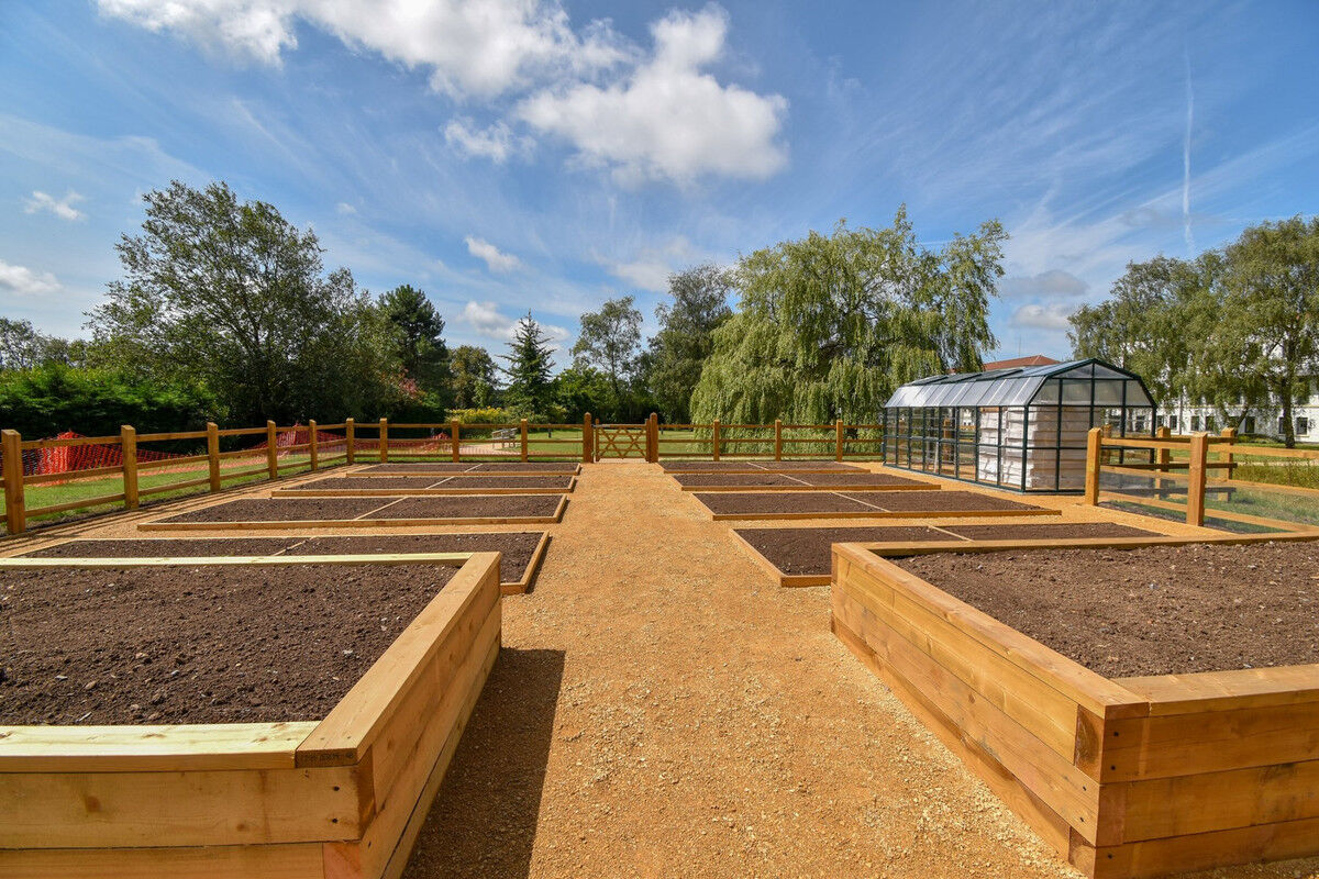 raised beds 4.jpg