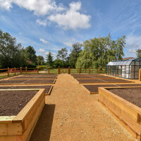 raised beds 4.jpg