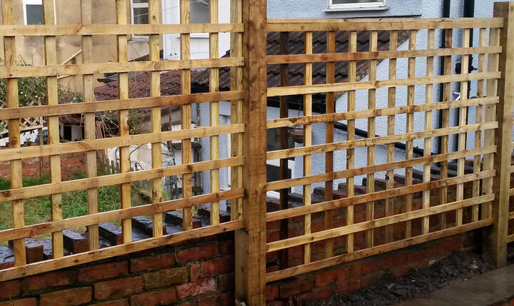 roman trellis 3.jpg