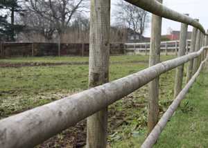 Constructing Your Pony Fence