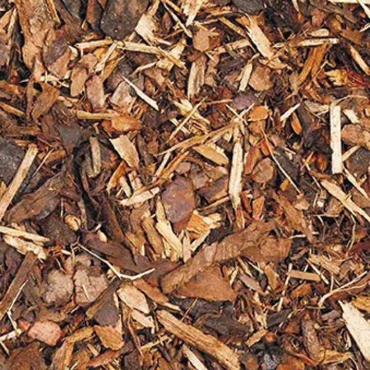 soil-Spruce-Ornamental.jpg