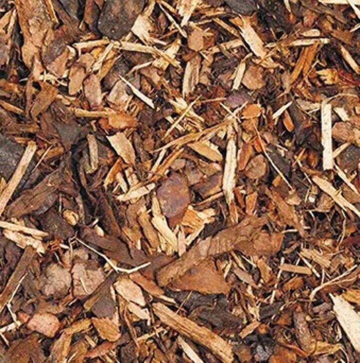 soil-Spruce-Ornamental.jpg
