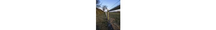 stock fence 4 web.jpg