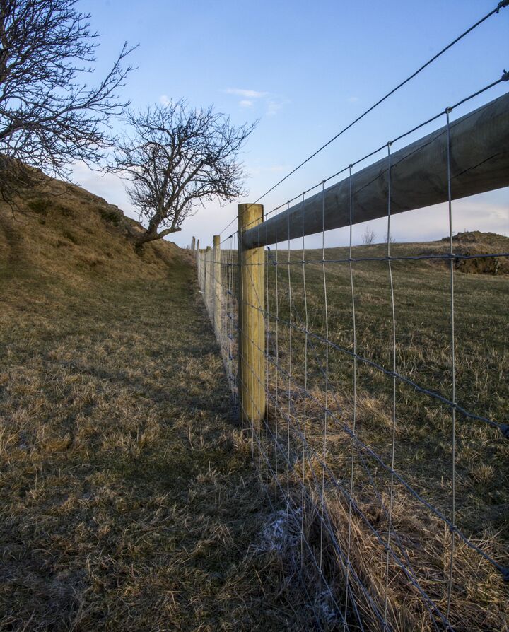 stock fence 4 web.jpg