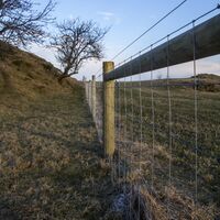 stock fence 4 web.jpg