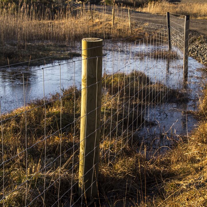 stock wire 2  web.jpg