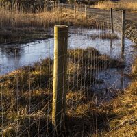 stock wire 2 web.jpg