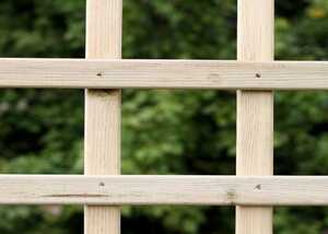 latin square trellis panels