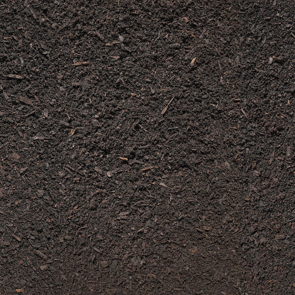 Sylva Grow added John Innes Raw.jpg