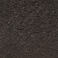 Sylva Grow added John Innes Raw.jpg