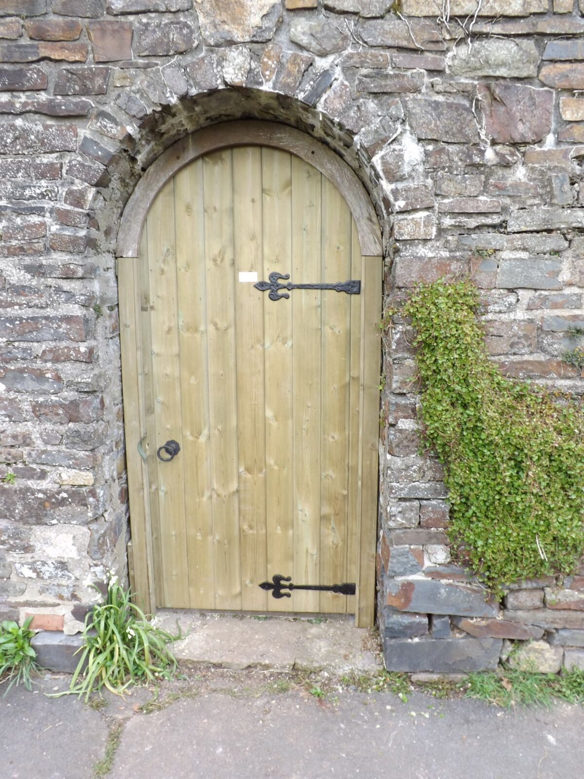 The Ledge & Braced Tongue & Groove.jpg