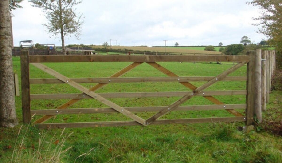 torridge-gates-diamond-braced-gate.jpg