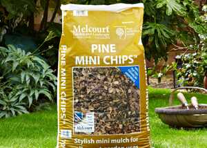 melcourt pine mini chips