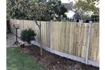 Weston Fencing F-e panel and concrete posts.jpg