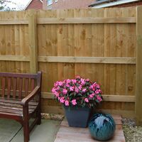 Weston Fencing featheredge web.jpg