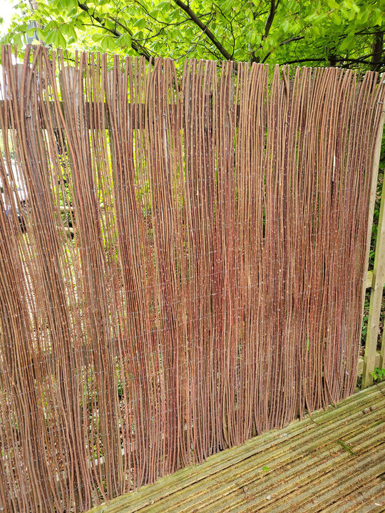 Willow screen 23.jpg
