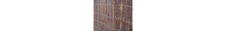 willow screen web.jpg