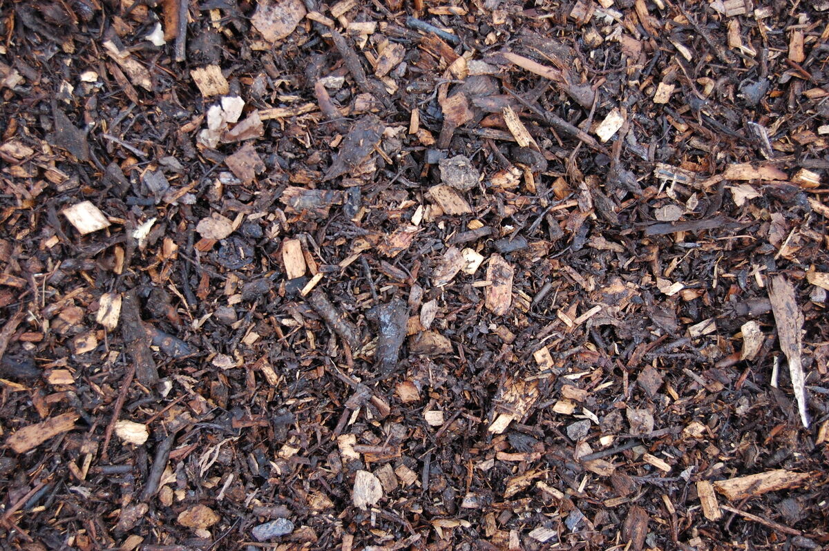 Woodland Mulch.JPG