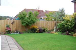 garden with featheredge fencing